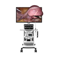 Лапороскопическая стойка 4K 3D White light 55" Mindray UX5