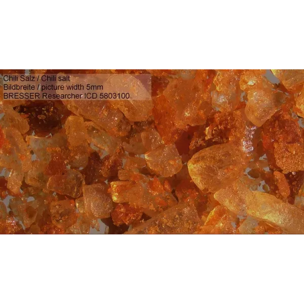 Микроскоп Bresser Researcher ICD LED 20x-80x (5803100)