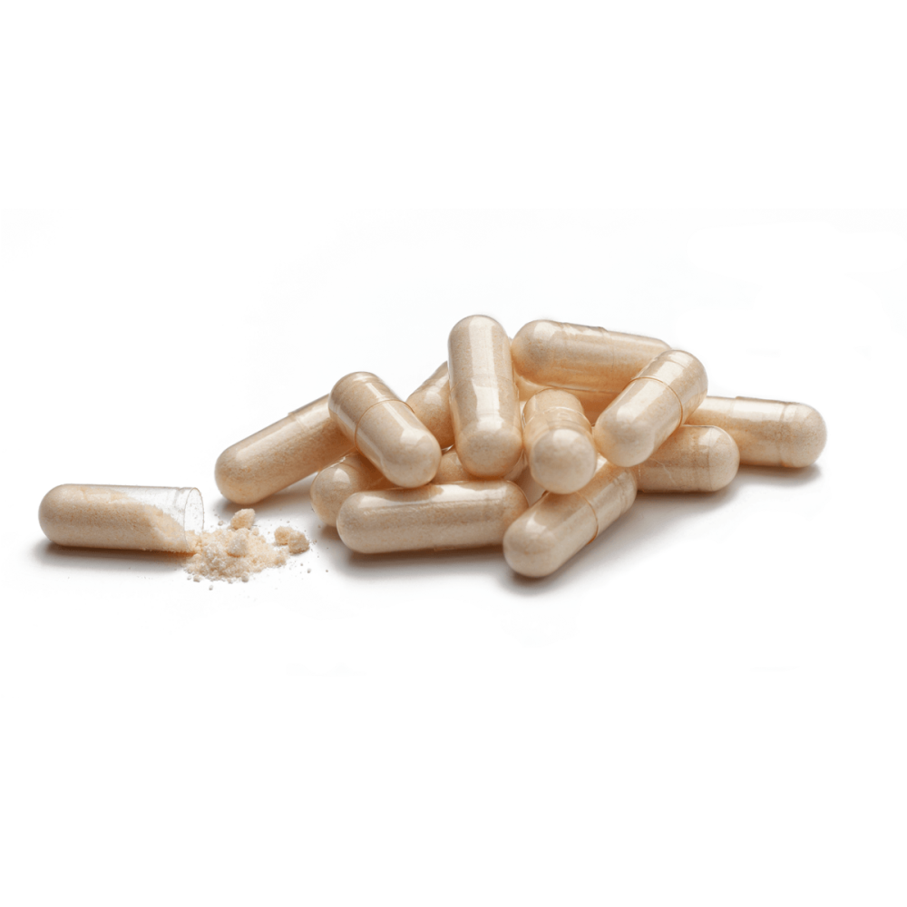 Бифидофилус Флора Форс Bifidophilus Flora Force NSP 90 капсул