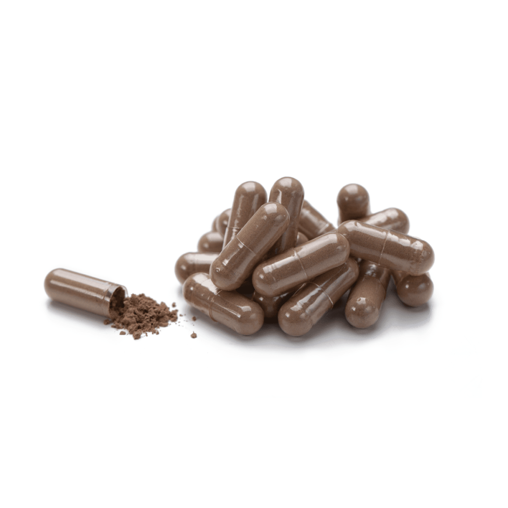 Со Пальметто Saw Palmetto NSP 100 капсул