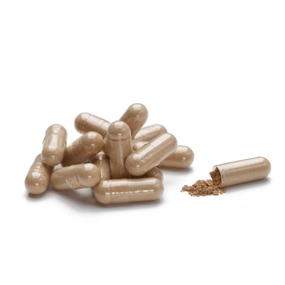 Астрагал Astragalus NSP 150 капсул