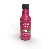 Замброза, Фруктово-ягодный напиток, Zambroza, Nature’s Sunshine Products, 458 мл