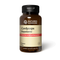 Кордіцепс Cordyceps NSP 90 капсул