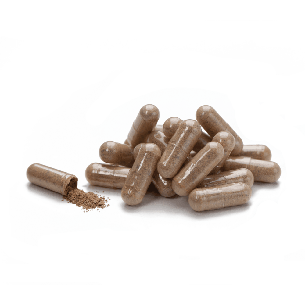 Кордицепс Cordyceps NSP 90 капсул