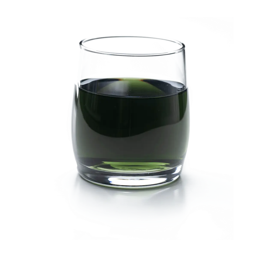 Хлорофіл рідкий Chlorophyll Liquid NSP 476 мл