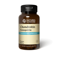 Хондроїтин Chondroitin NSP 60 капсул