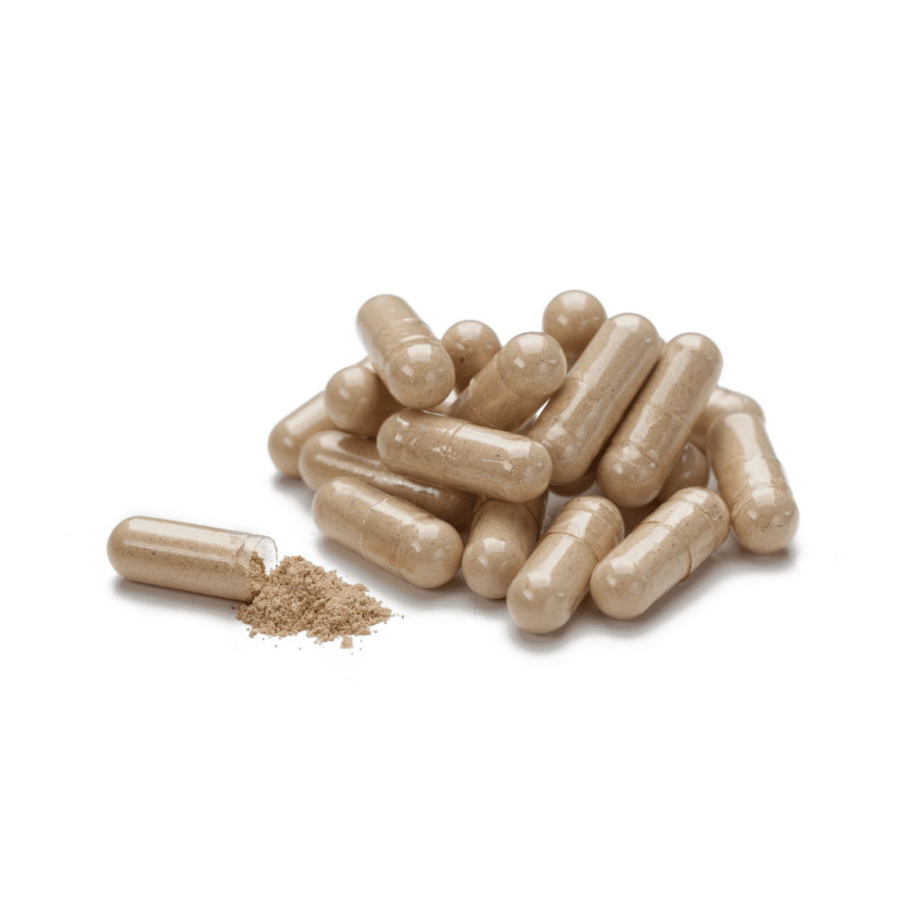 Вайлд Ям Wild Yam NSP 100 капсул