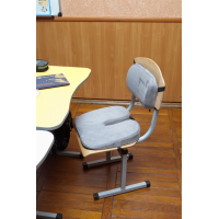 Комплект детских ортопедических подушек для сидения School Comfort (М1-S + М2) ТМ Correct Shape