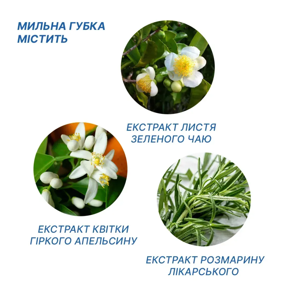 Сухой мыльный мини душ с саше с водой для очищения кожи без смывания Estem Mini