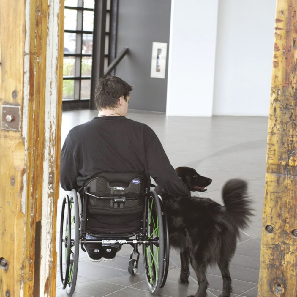Ортопедическая спинка Invacare Matrx MX2