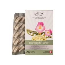 Таблетки Харпагин Форте Vivasan Harpagin Forte 30 шт