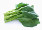 Гай Лан Нитрат-Тестер GreenTest